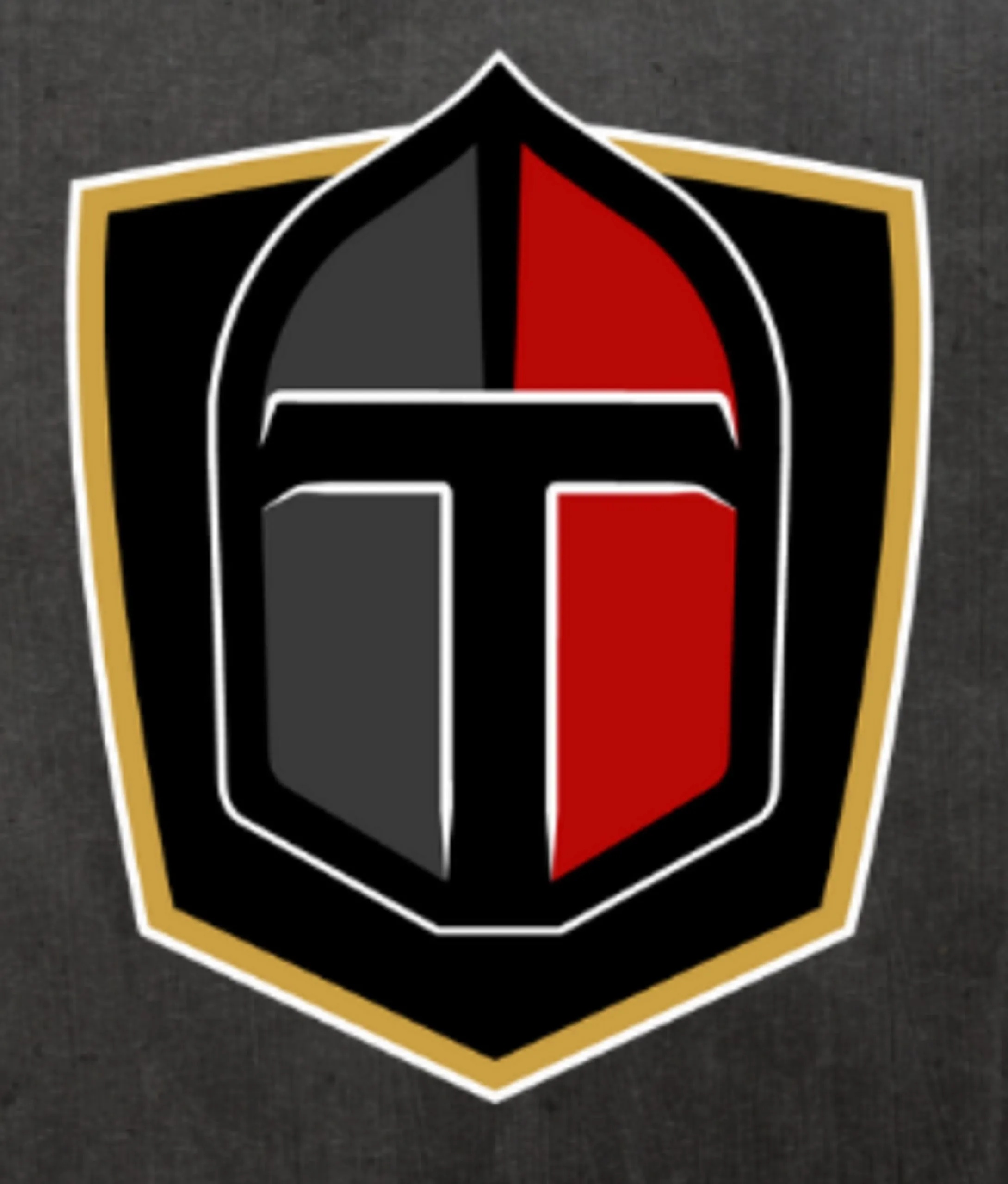 Paris Titans logo iron on heat transfer...